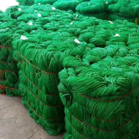 绿旋风菊花网格大葱网爬藤网