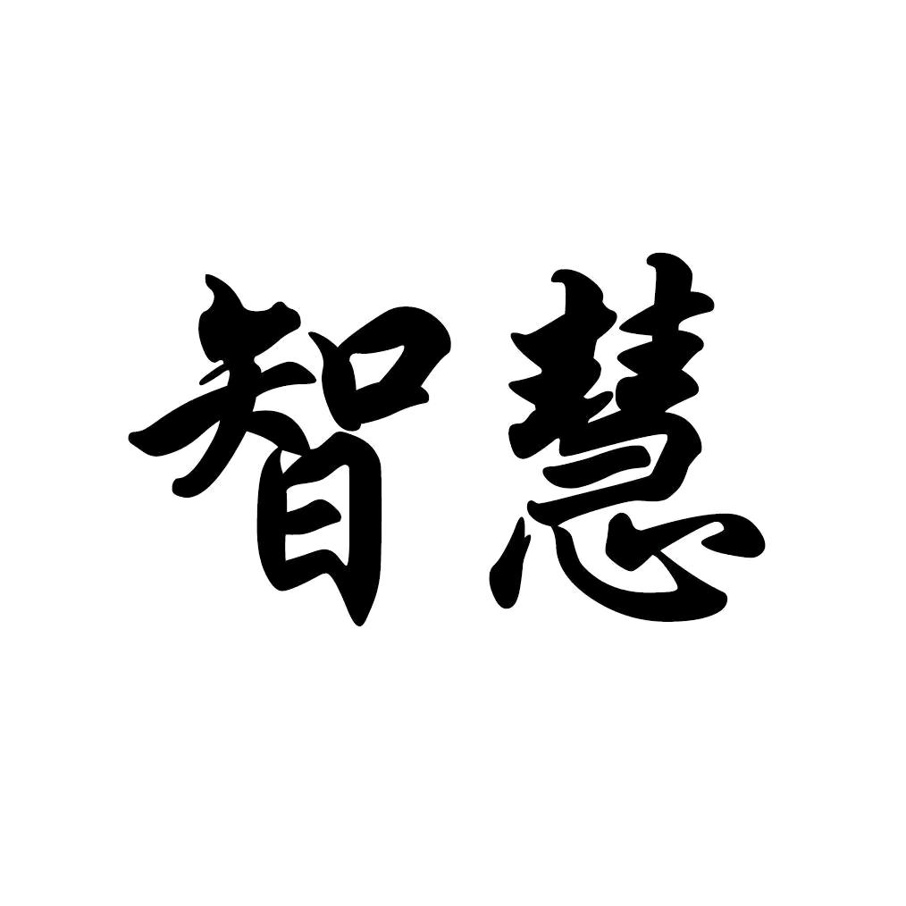 智慧 思维