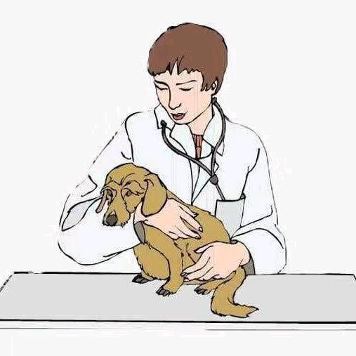 信阳市茗旺宠物医院--黄医生