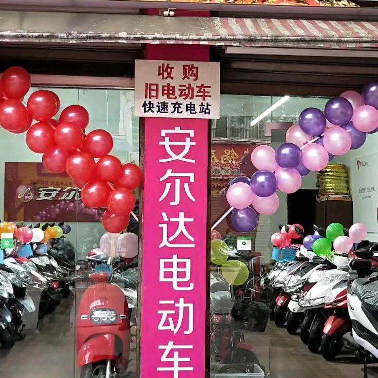 罗龙刘韩车行新日、安尔达电动车