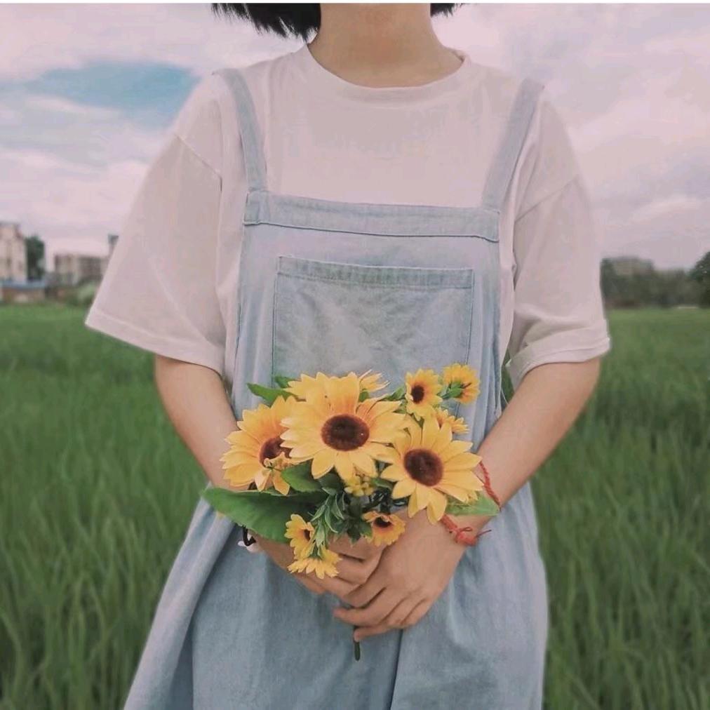 向阳🌻