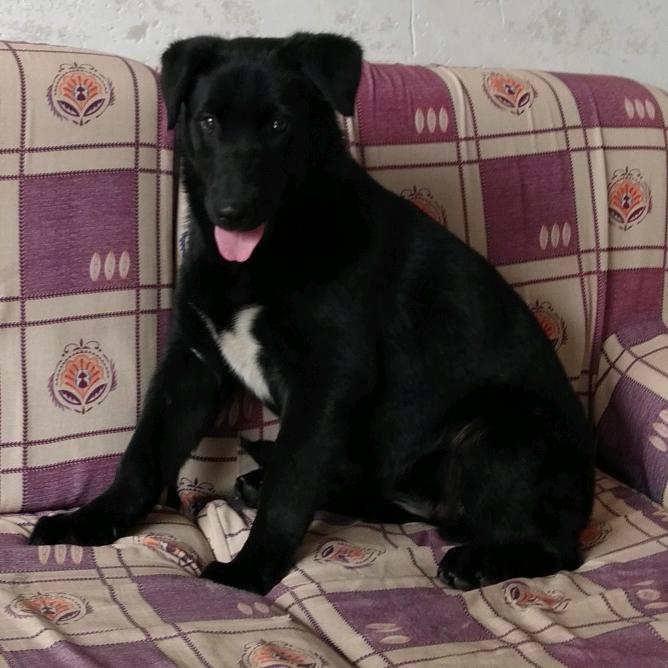 真诚（志平:)）