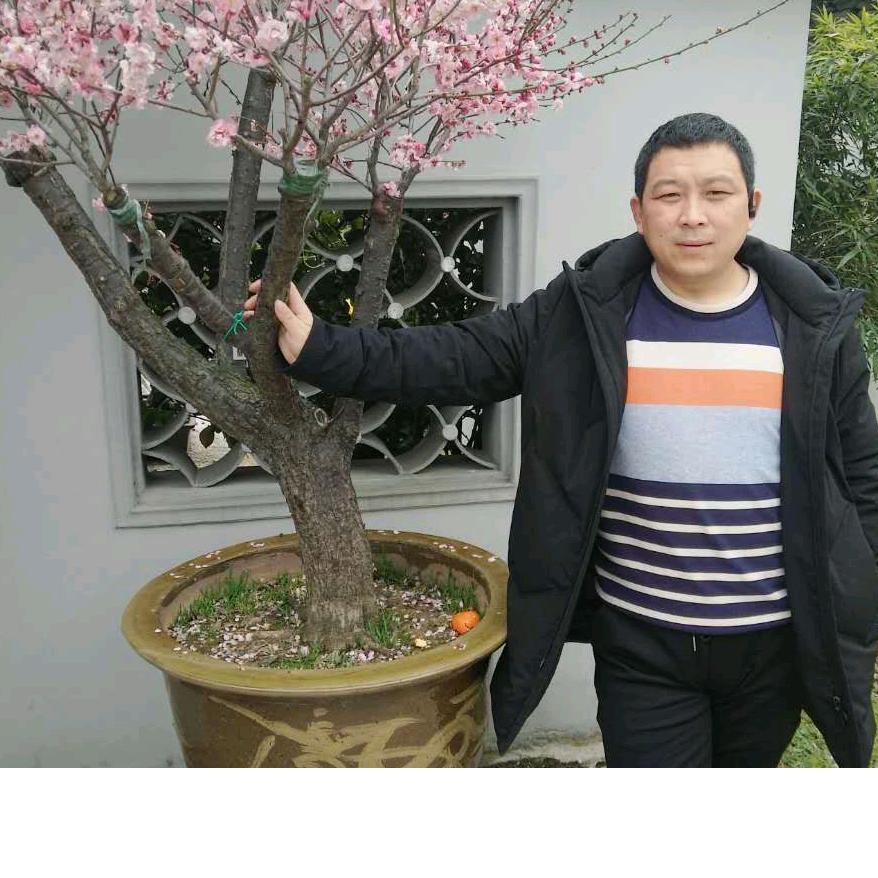 袁梦