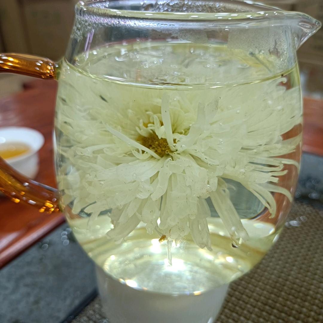 徐姐菊花茶批发
