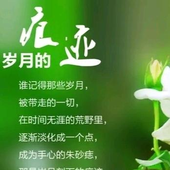 岁月