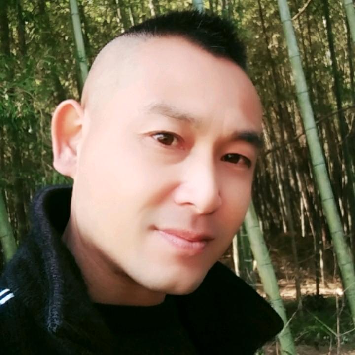 陶哥