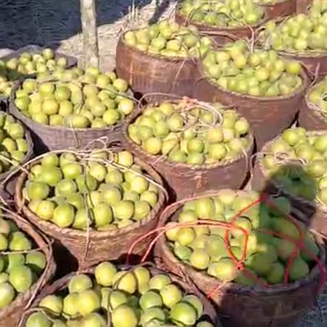 希望未来更好……