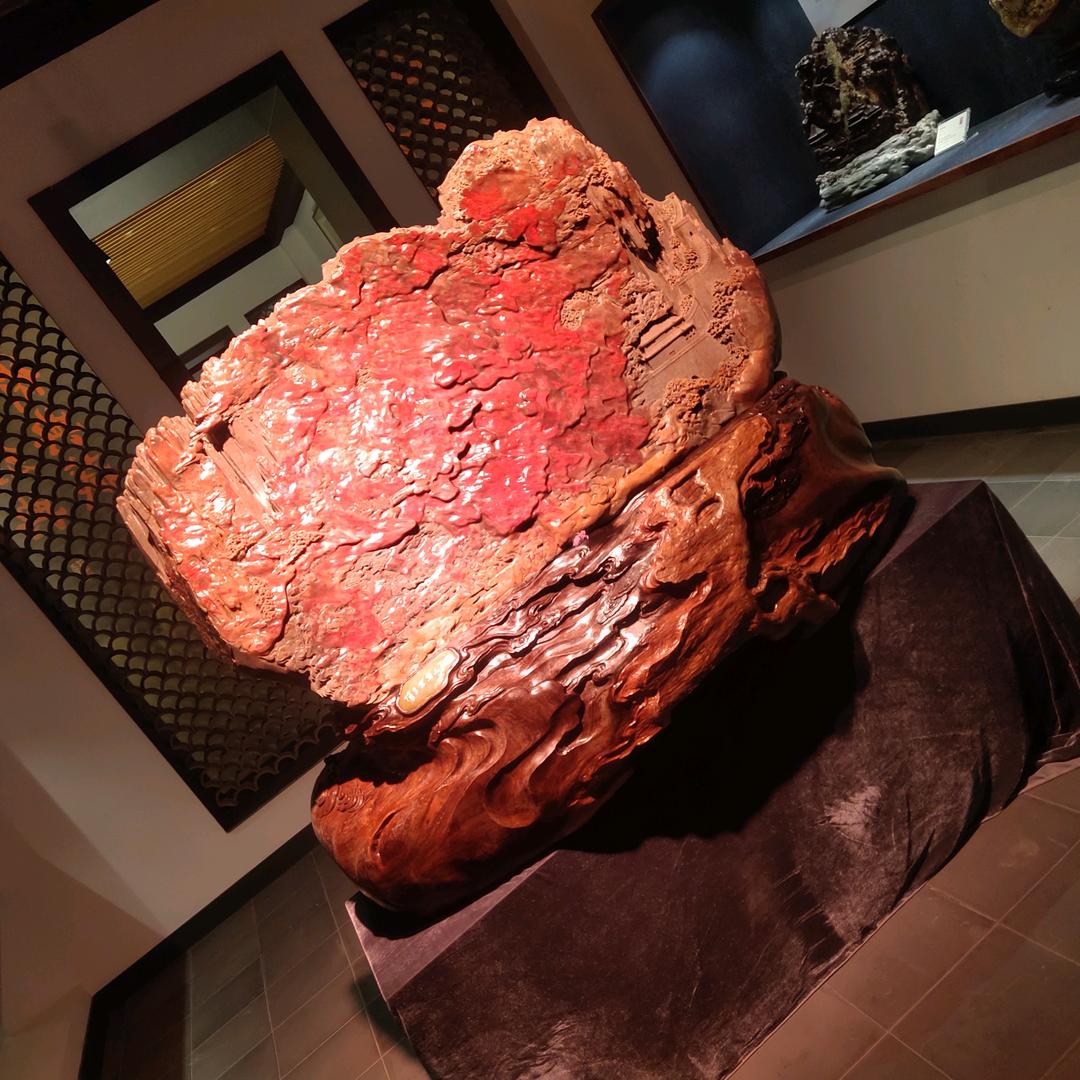 养…狗………人…