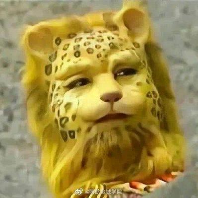 渴望