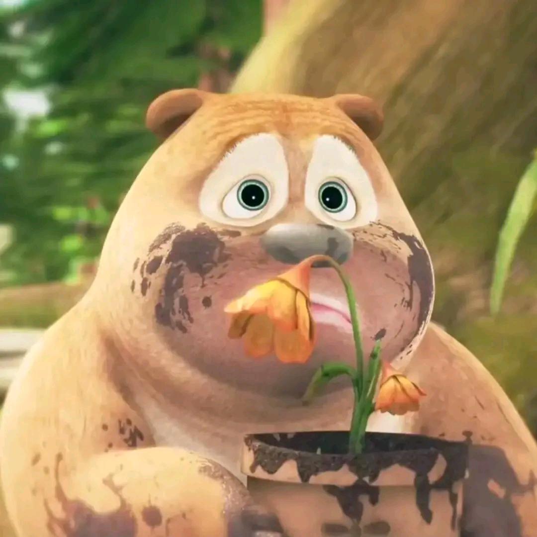 爱吃香菜的大猩猩