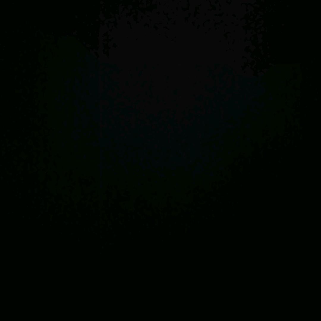 喵喵喵喵喵喵