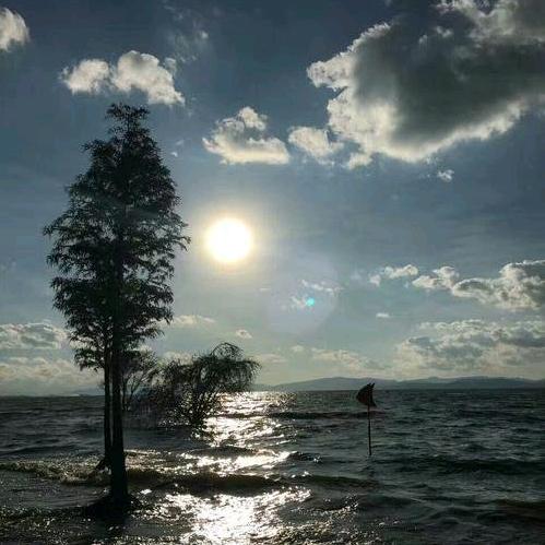 盛意满满