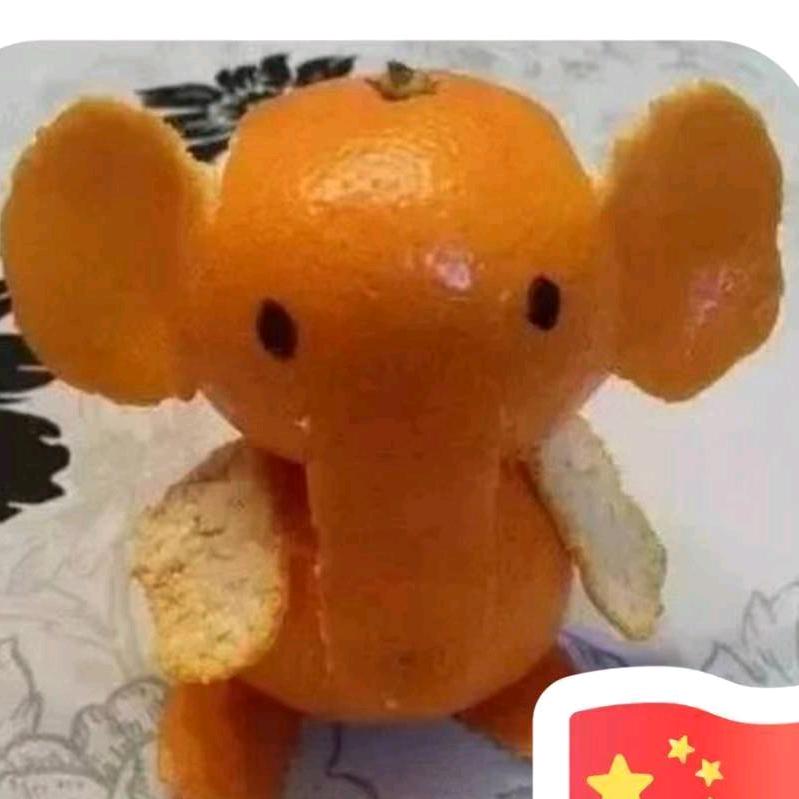 军旅影视