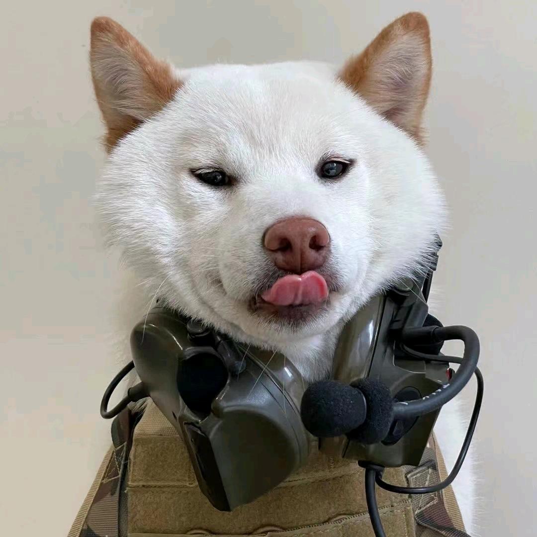 凡凡_