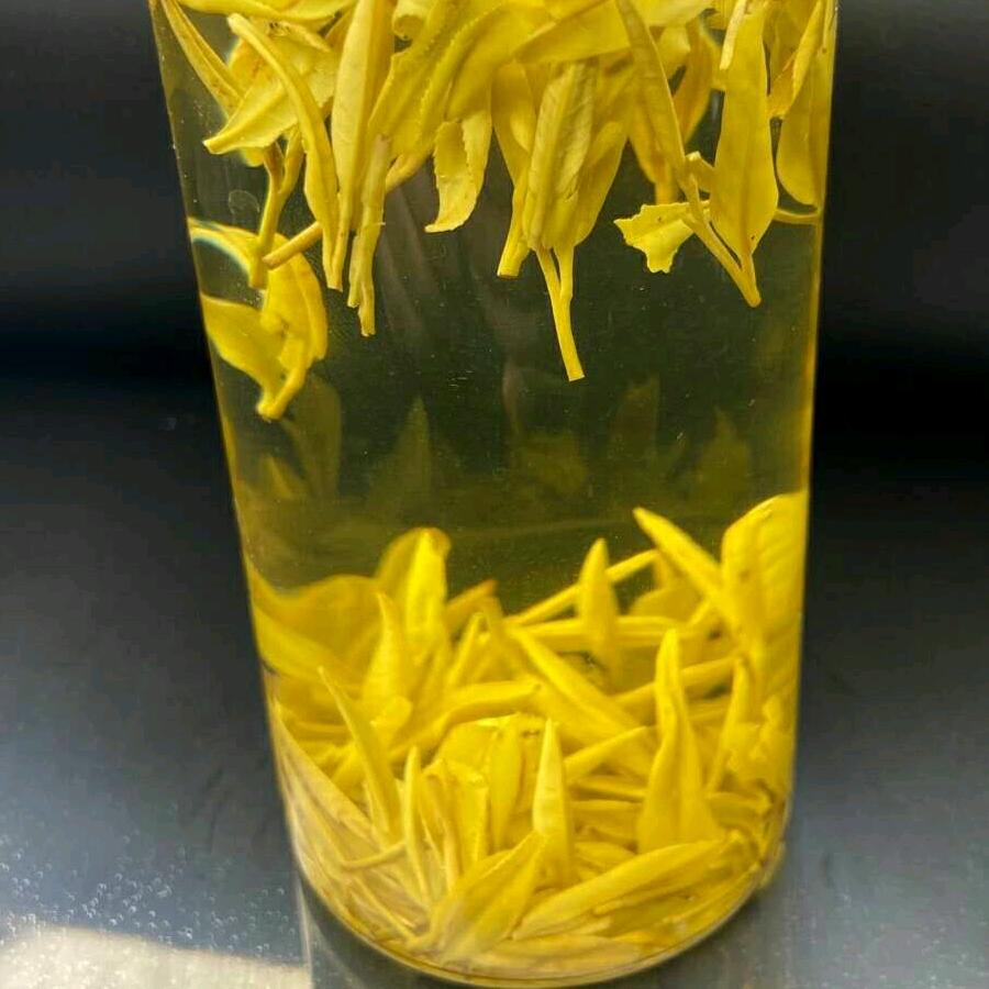 大别山吕石斛黄芽天麻百合苗木供应