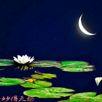 糖糖爱吃糖