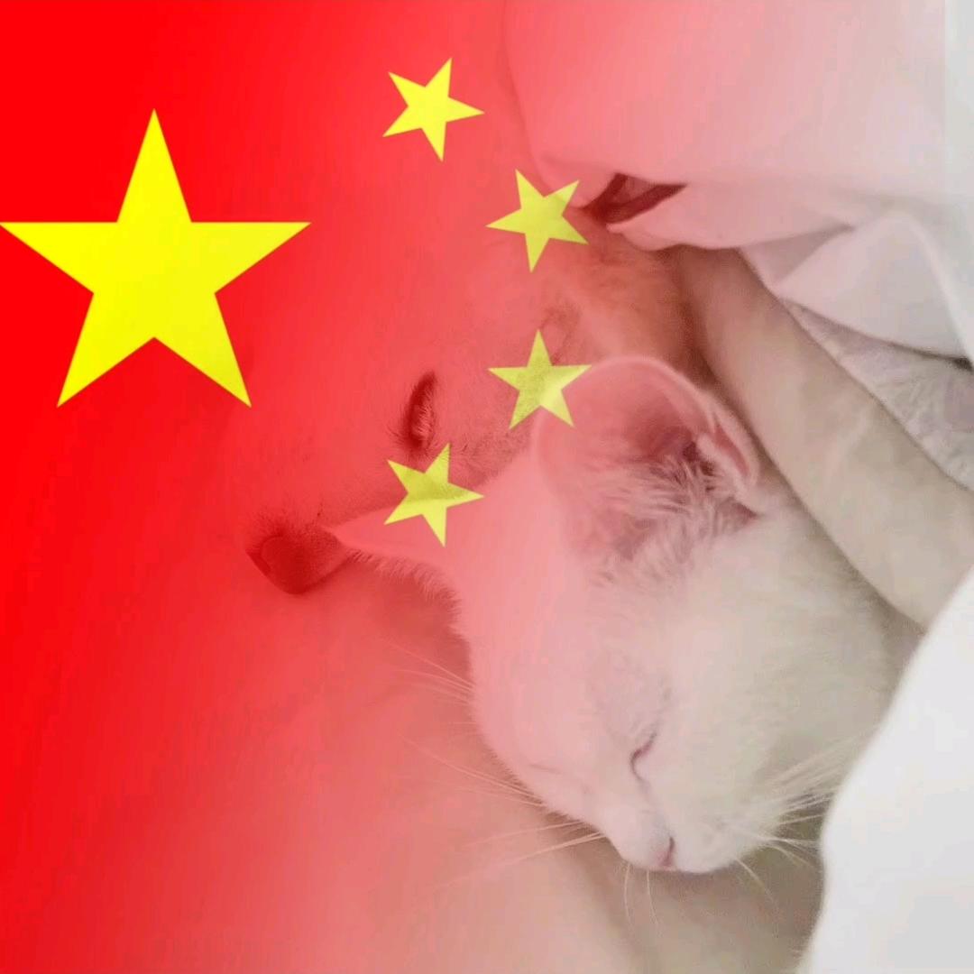 AG白鸽
