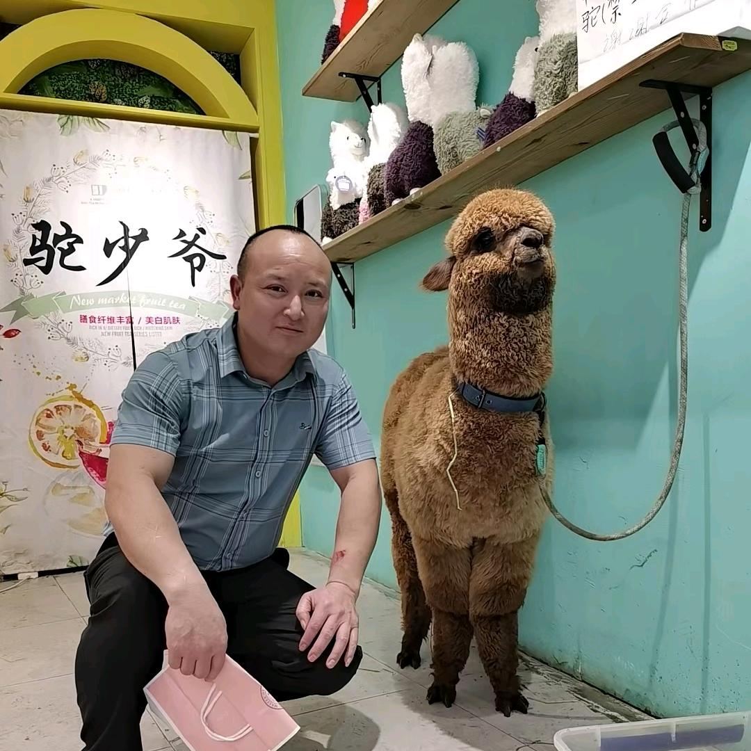 锂电池维修教组装