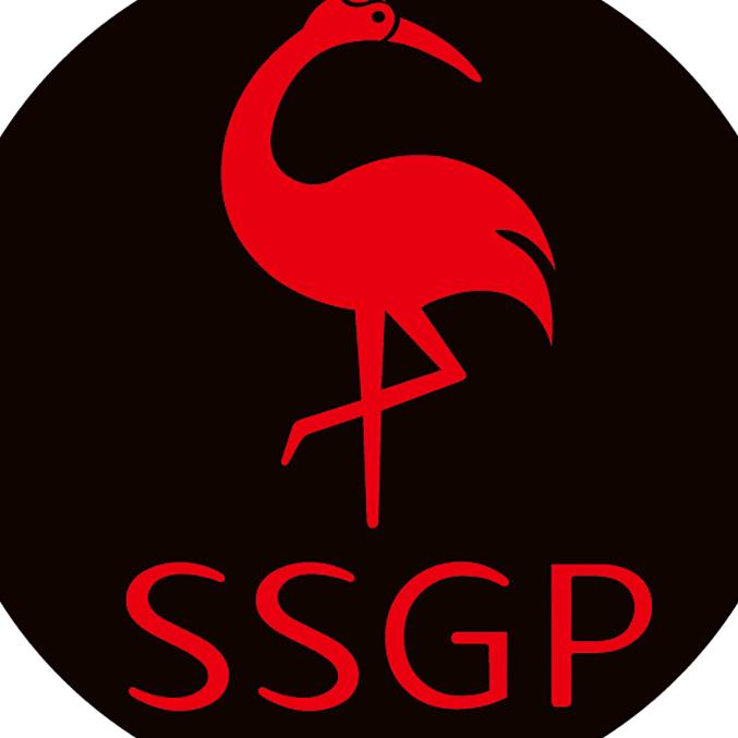 三四钢SSGP官方旗舰店