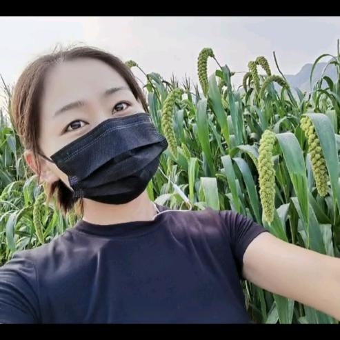 苏～