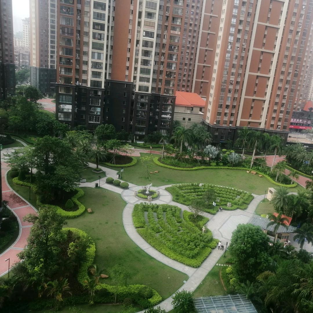闽南林哥