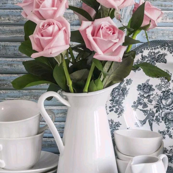 Floating dream 浮梦