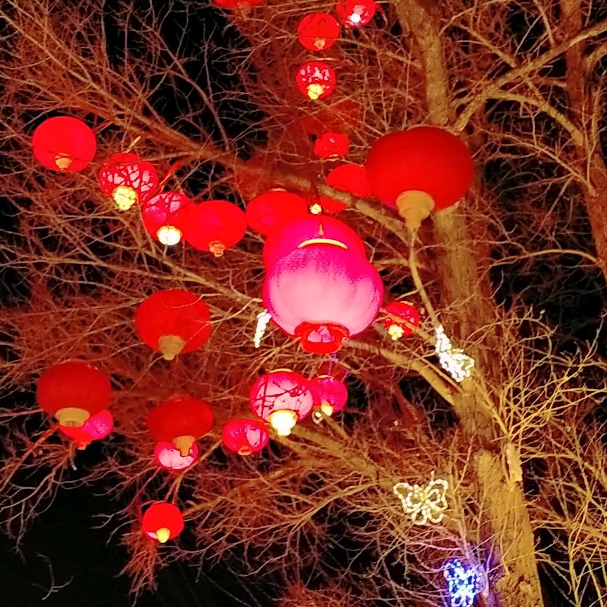 风寒情