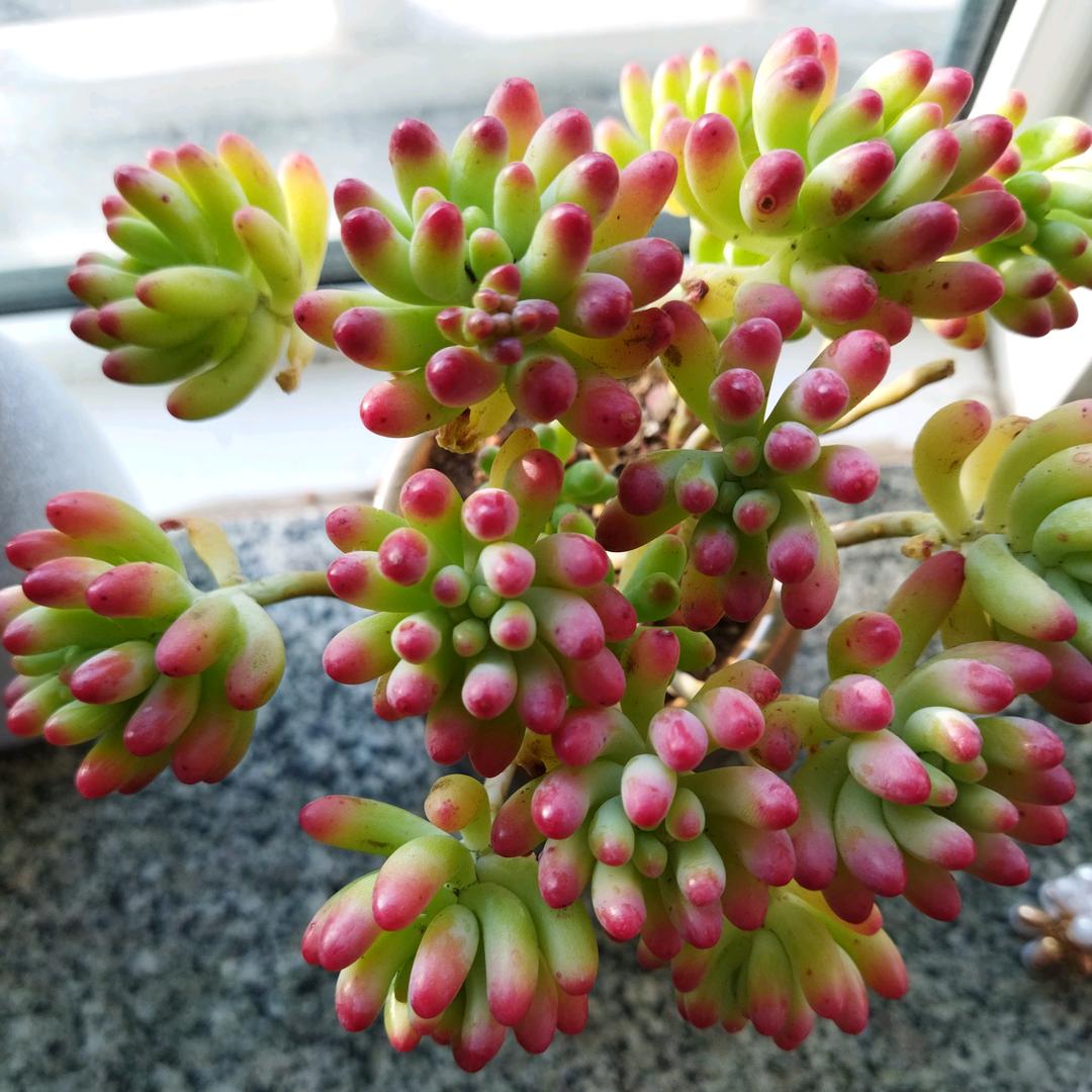 幸福美满的一家人