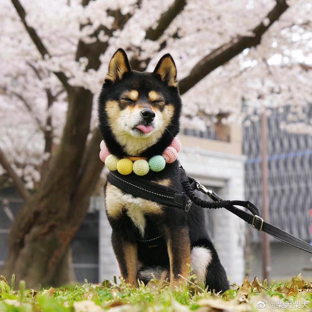 冷冷冷