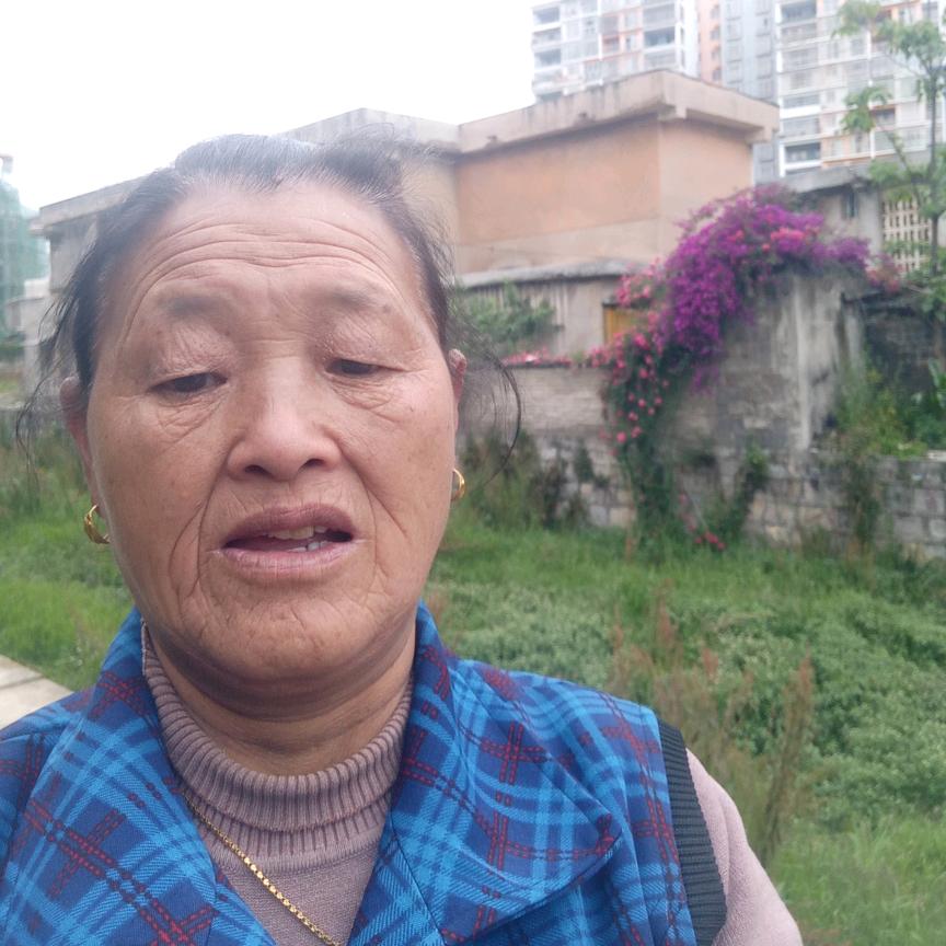 龙上村小卖铺