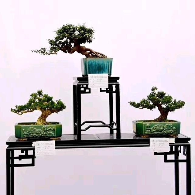 石湾盆（厂家直发）