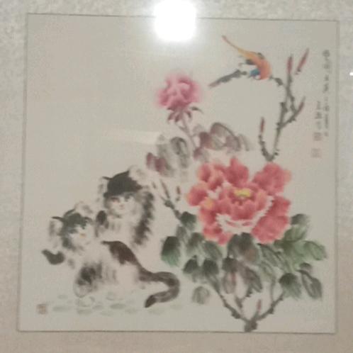 侯大漂亮