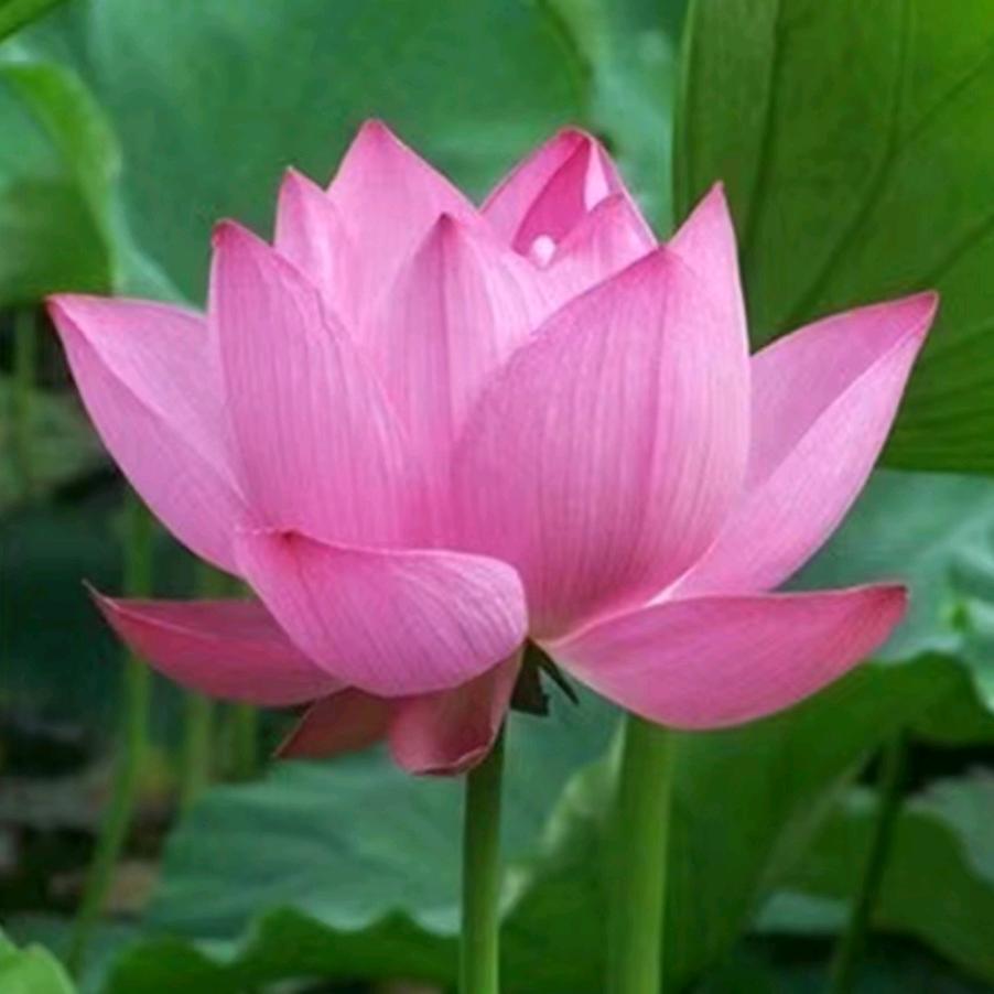 悠悠🧚‍♀️