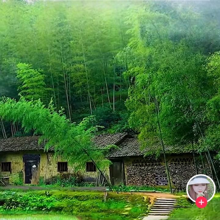 坚定决心