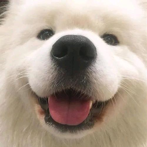 一年一度的夏天