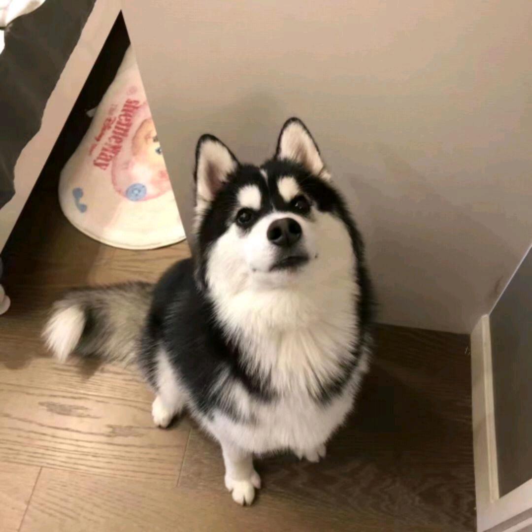 沐尘