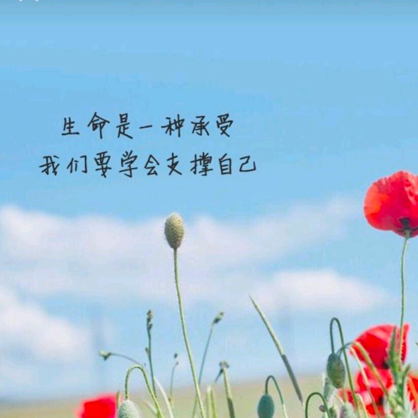 云淡风轻