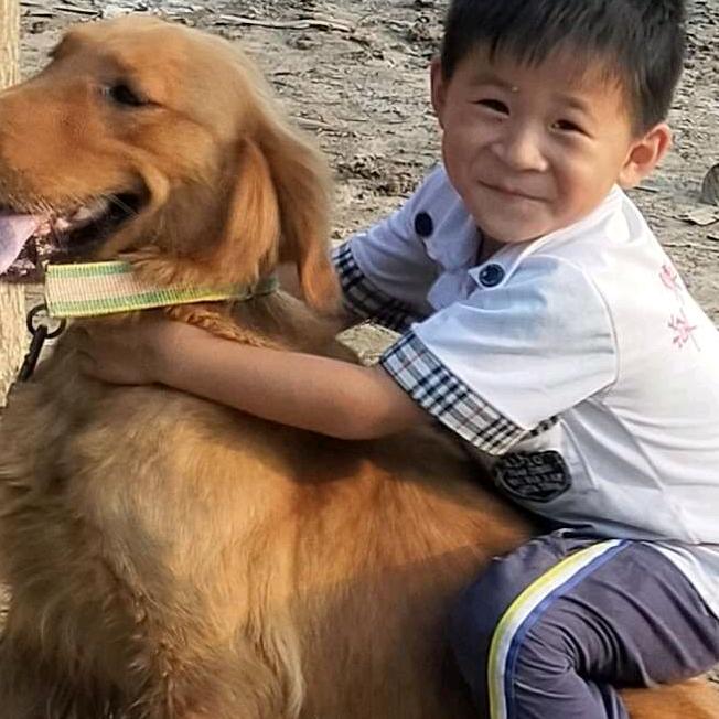 朱伟