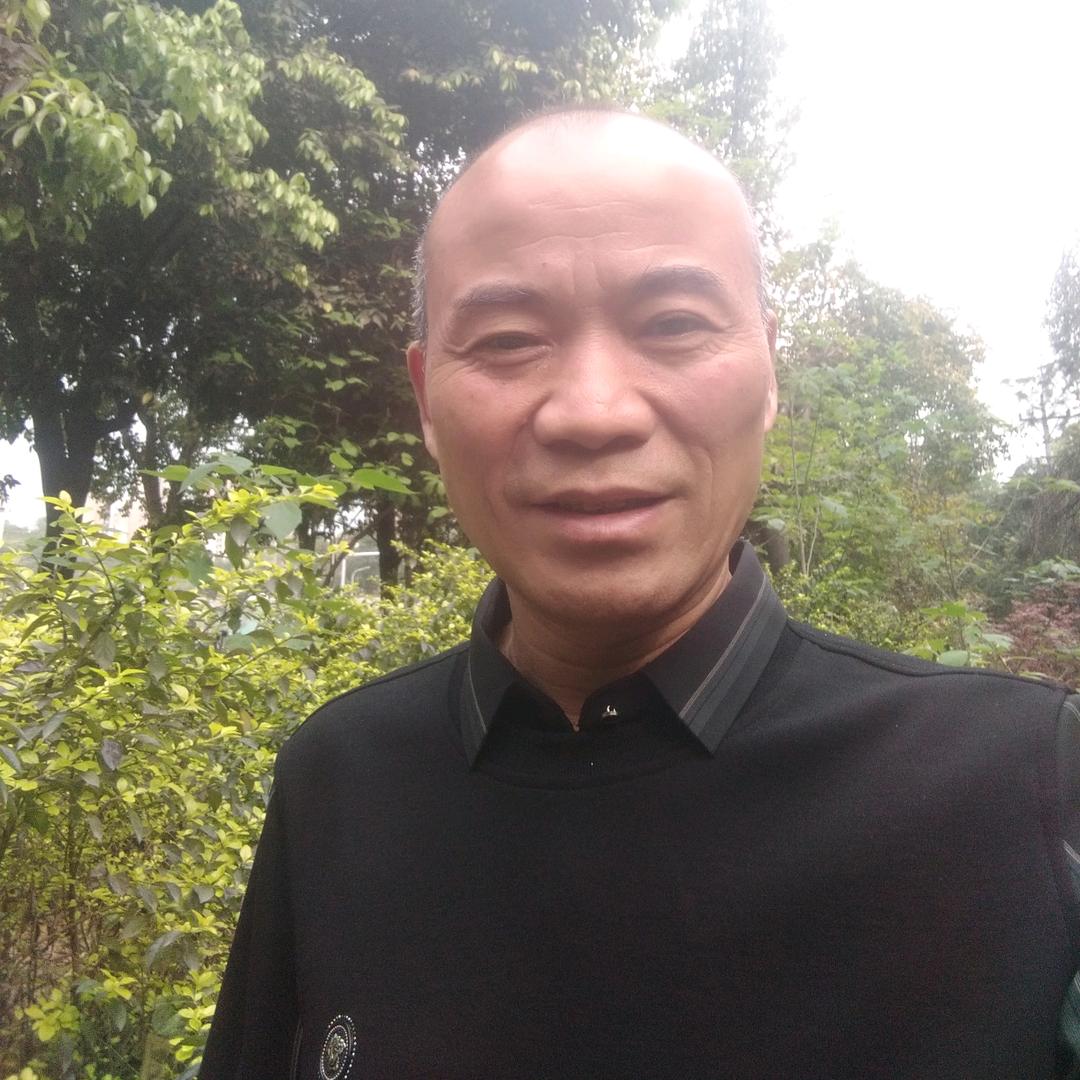 阳光正好_