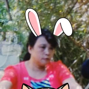 我的农村日常