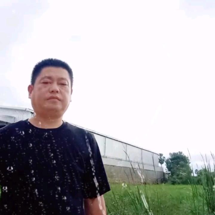 流浪的清茶