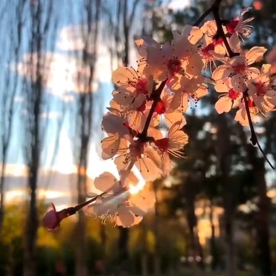 用户名26014905头像