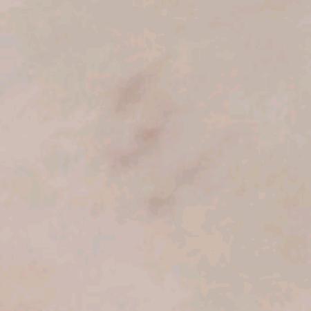 至清欢