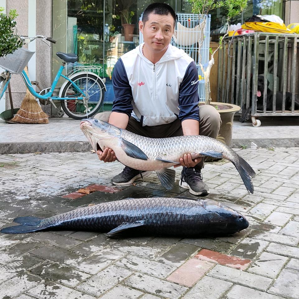 钓娱之家(趣钓鱼)