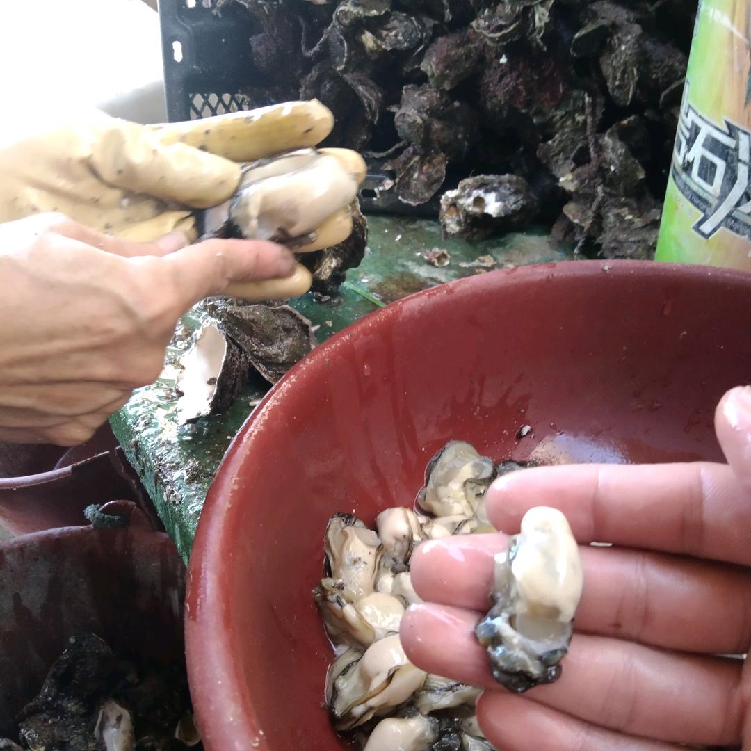 厦门海蛎批发配送