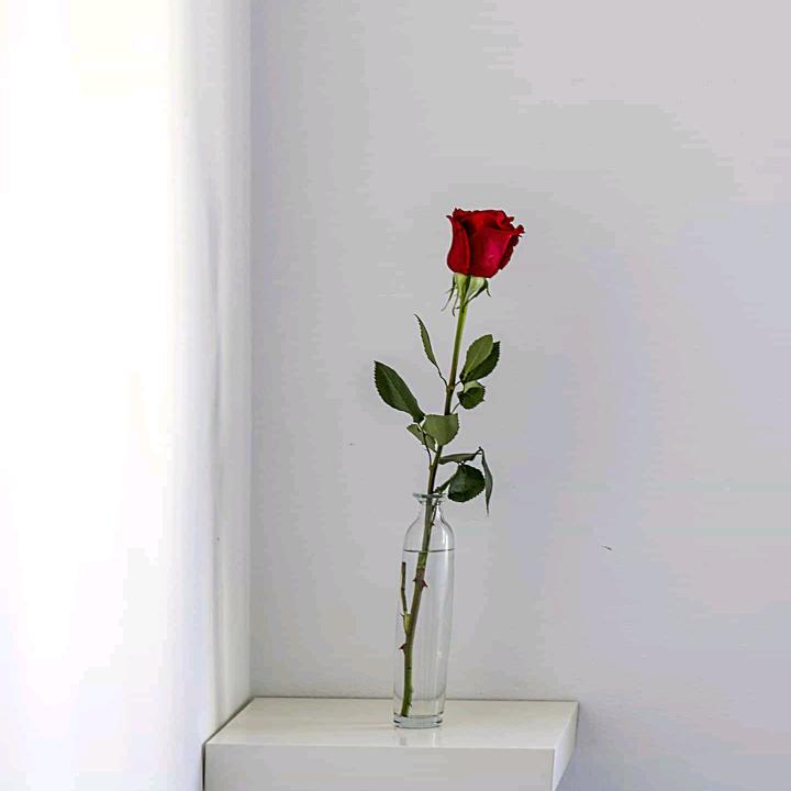 萍～
