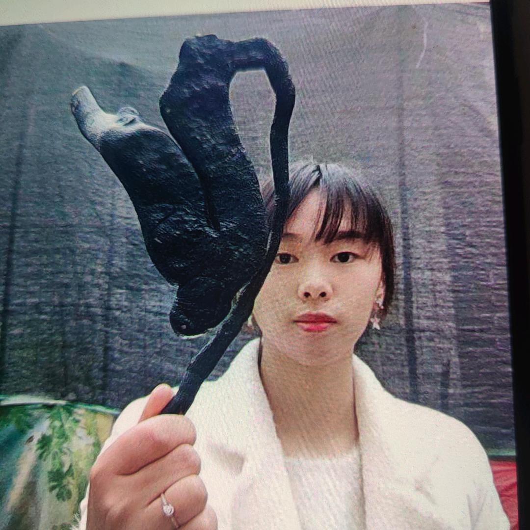 文妹金弹子