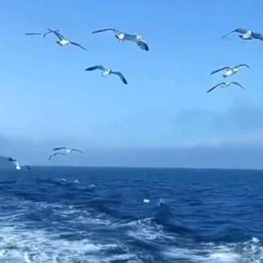 浮生旧梦(๑• . •๑)