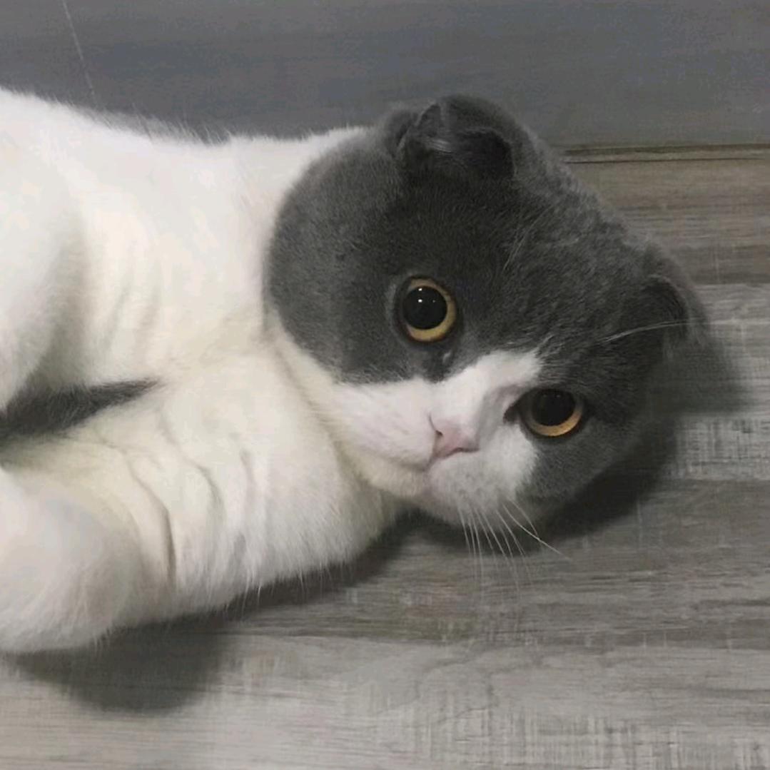 少年_