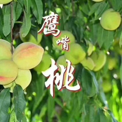 家庭幸福